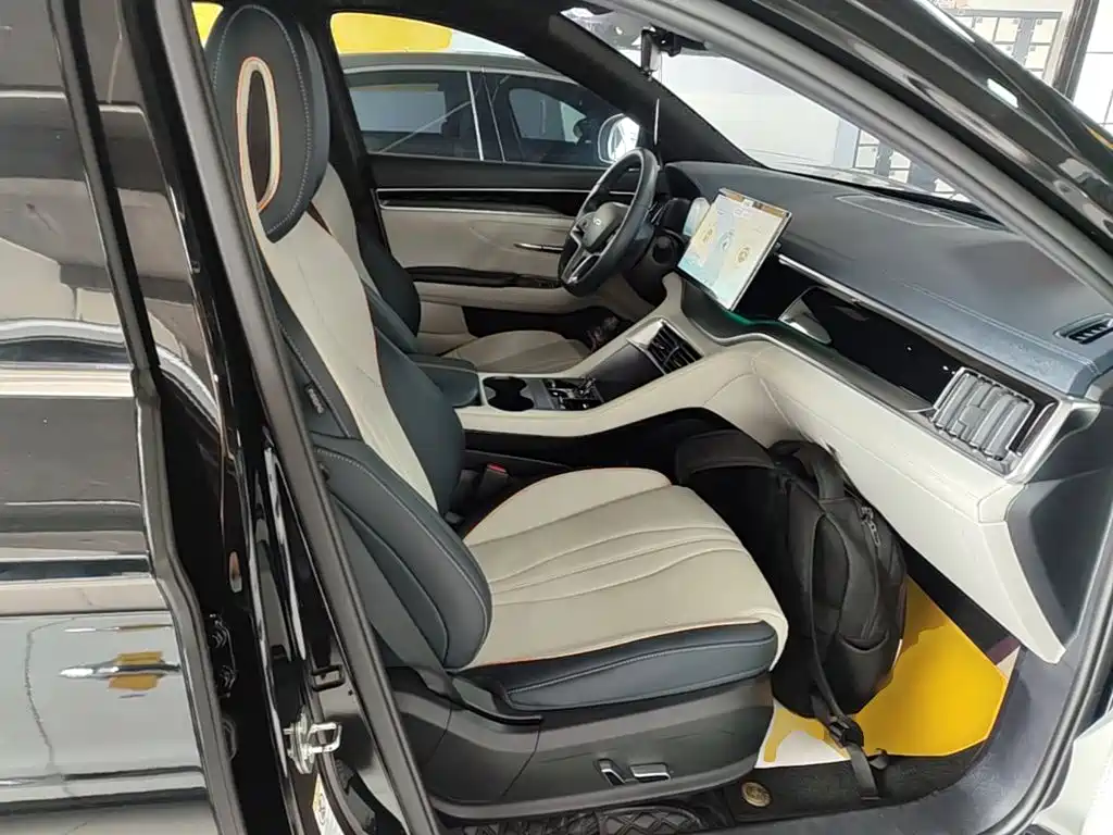 BYD PLUS New Energy — фото 25