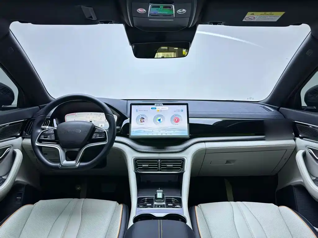 BYD PLUS New Energy — фото 10