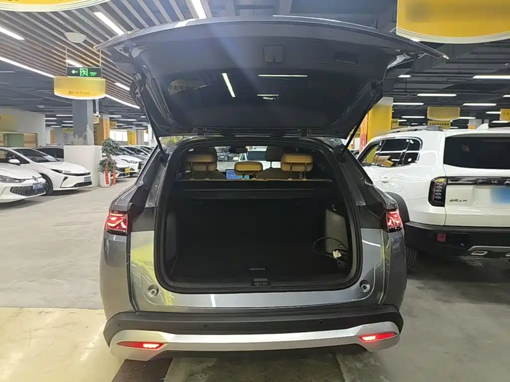 BYD L DM-i — фото 19