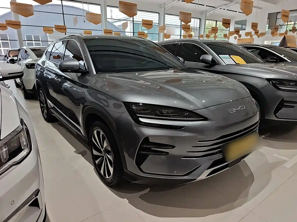 BYD PLUS New Energy — фото 8