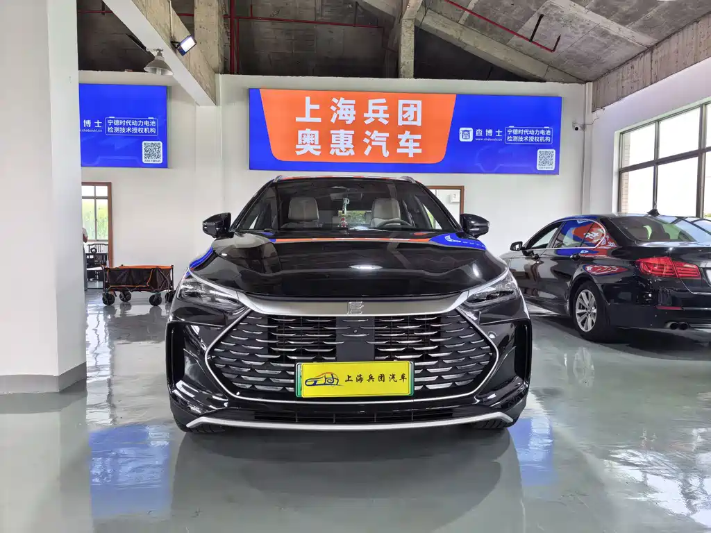 BYD Tang New Energy — фото 2