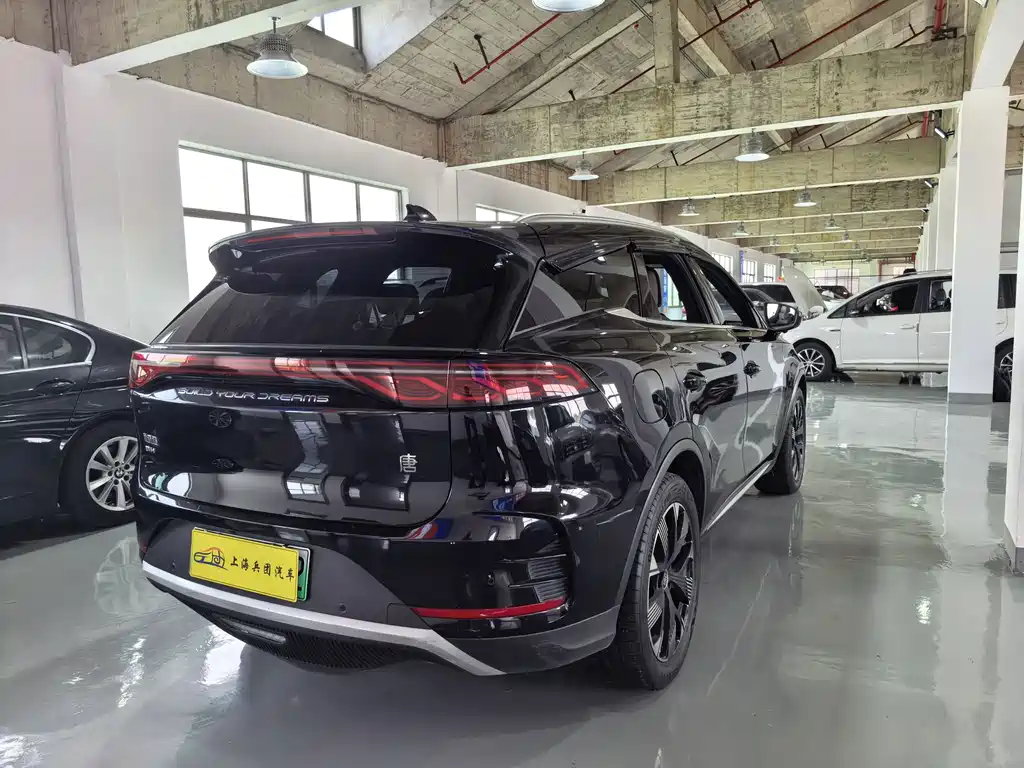 BYD Tang New Energy — фото 23