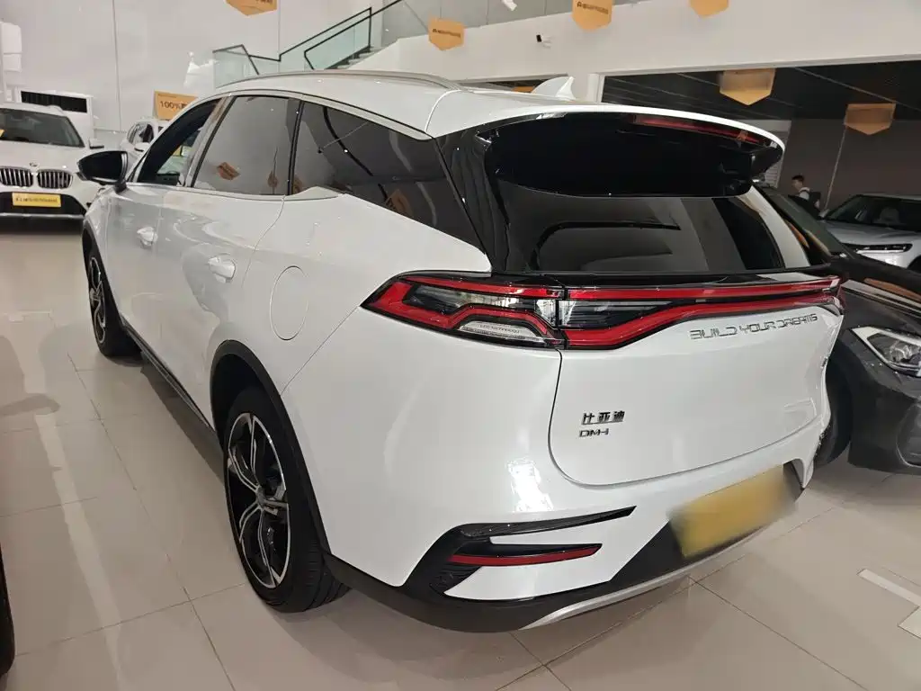 BYD Tang New Energy — фото 10
