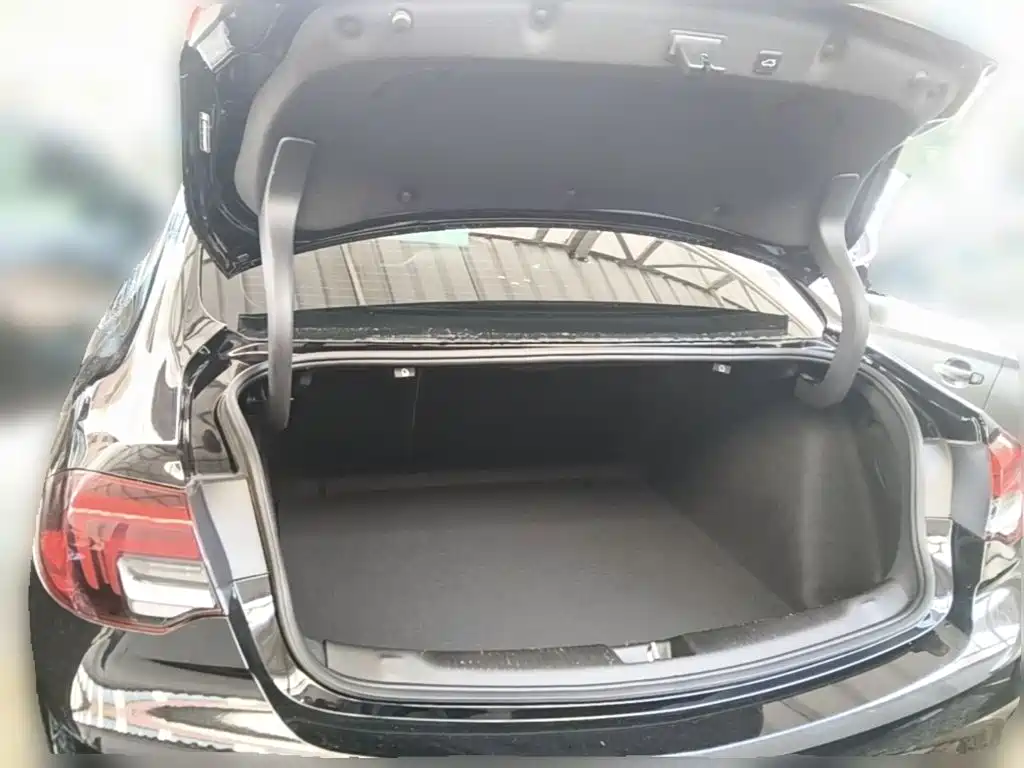 Buick Regal — фото 24