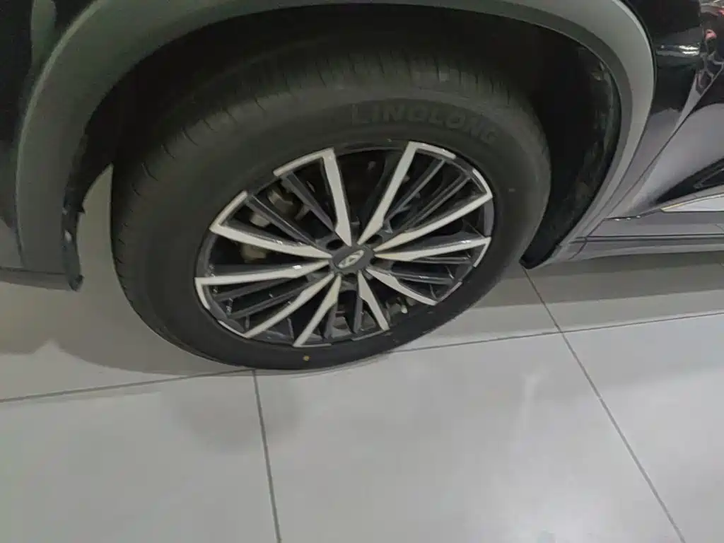Chery Tiggo 8 PLUS — фото 23