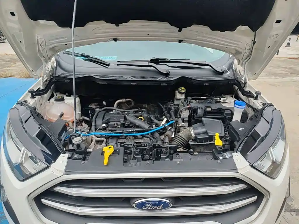 Ford Ecosport — фото 20