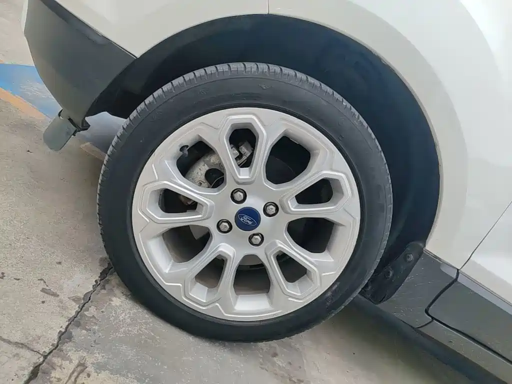 Ford Ecosport — фото 23