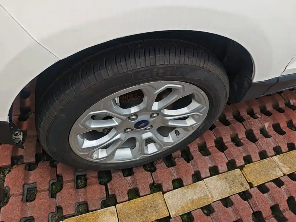 Ford Ecosport — фото 23