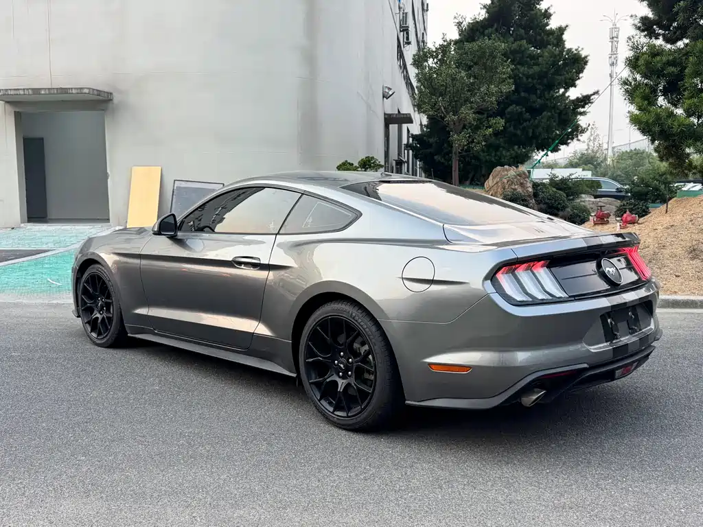 Ford Mustang — фото 10