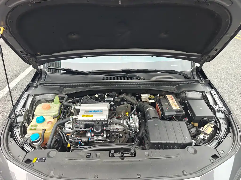 GAC Motor Shadow Leopard — фото 19