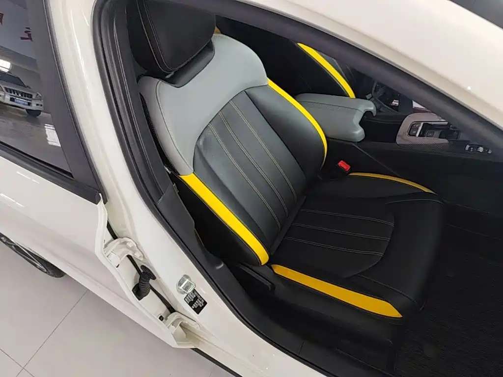 GAC Motor Shadow Leopard — фото 25