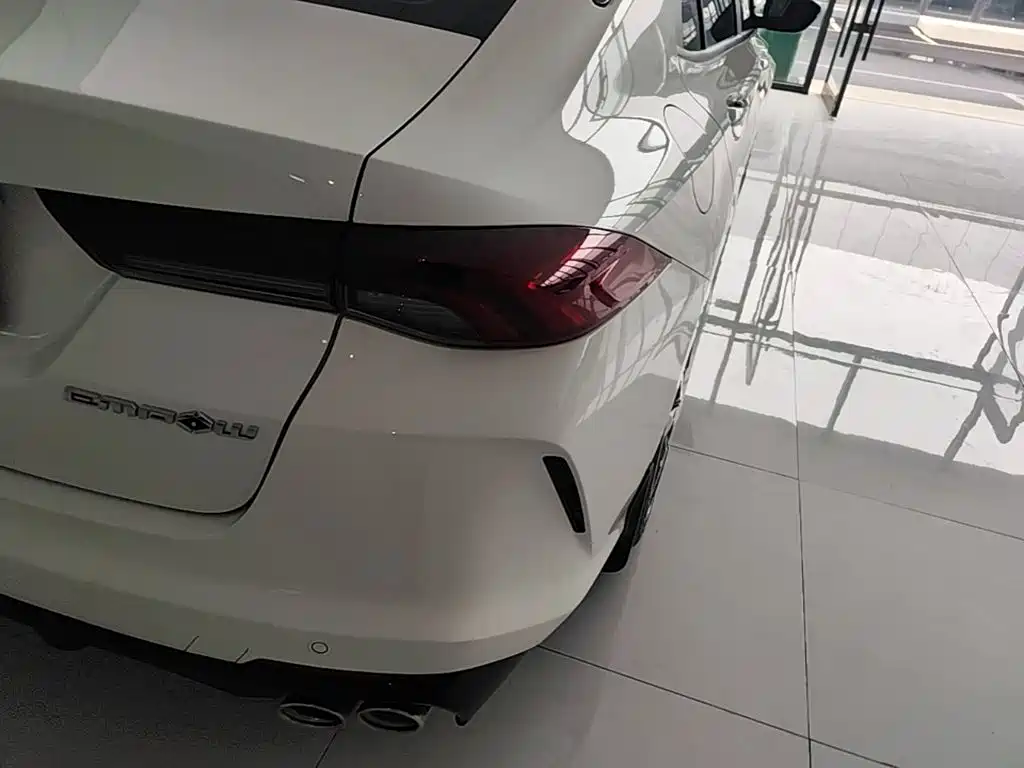 GAC Motor Shadow Leopard — фото 8