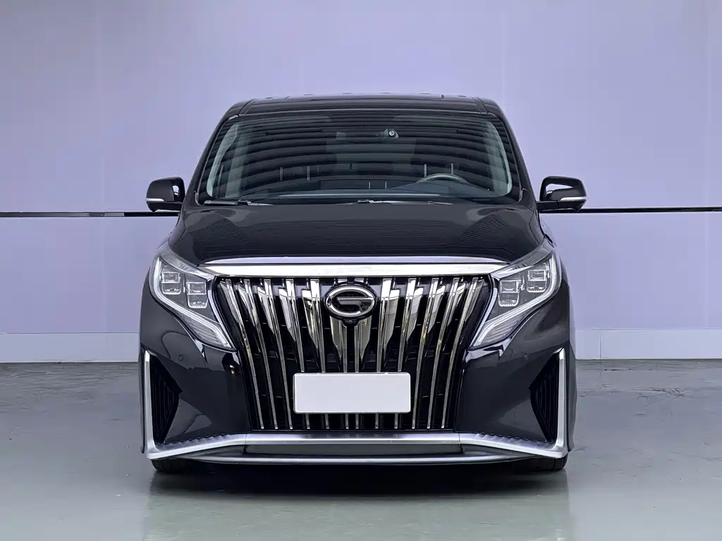 GAC Motor Trumpchi M8 — фото 2