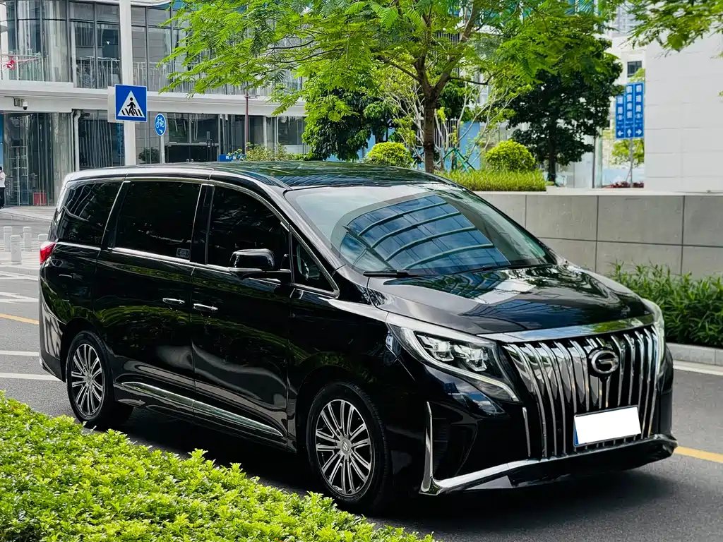 GAC Motor Trumpchi M8 — фото 3