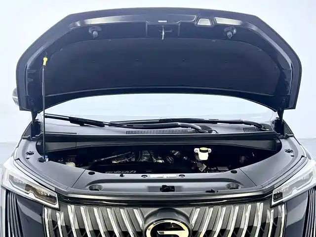 GAC Motor Trumpchi M8 — фото 10