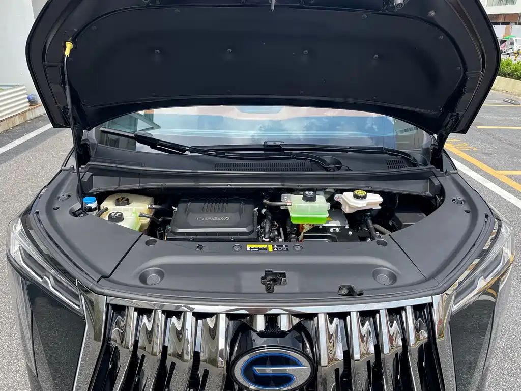 GAC Motor Trumpchi E9 — фото 23