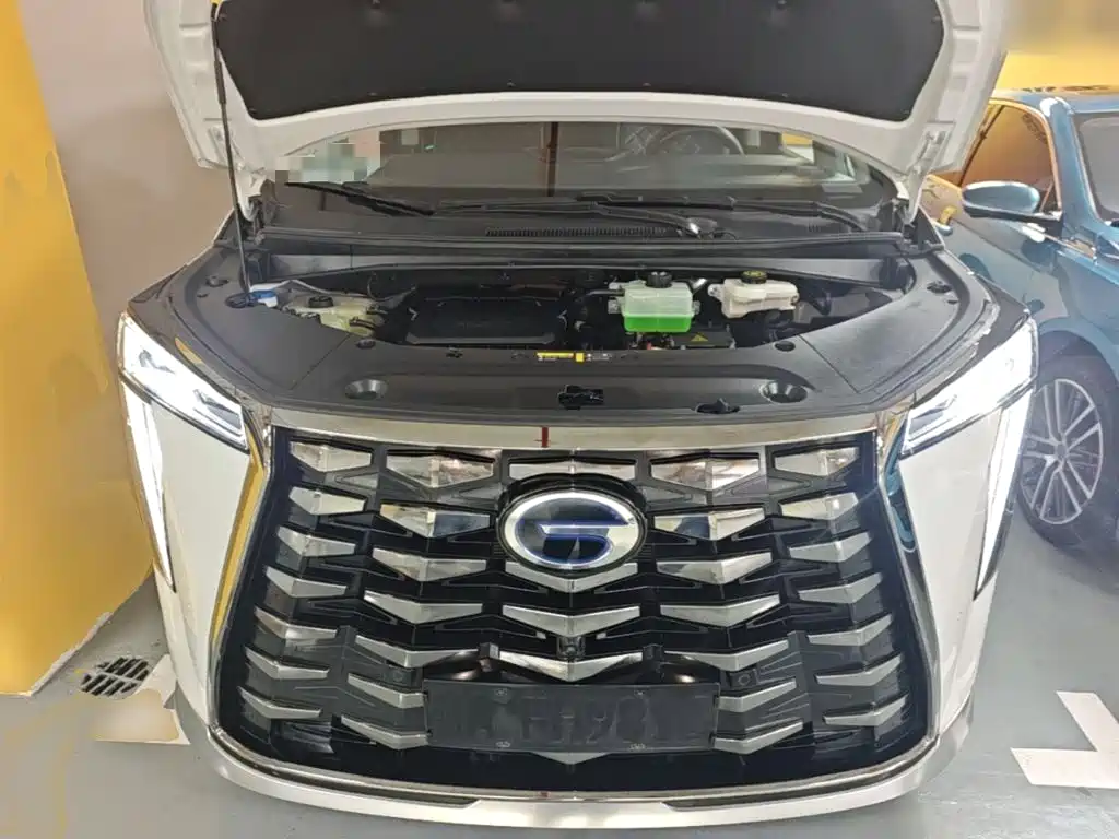 GAC Motor Trumpchi Xiangwang M8 — фото 20