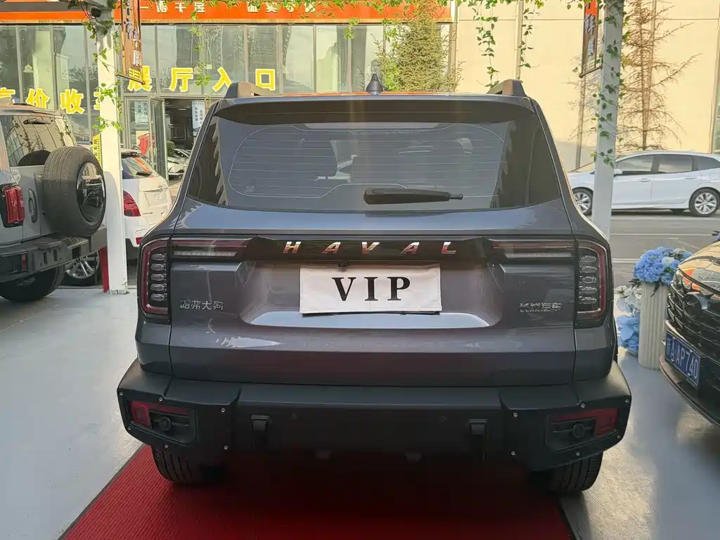 Haval Big Dog — фото 11