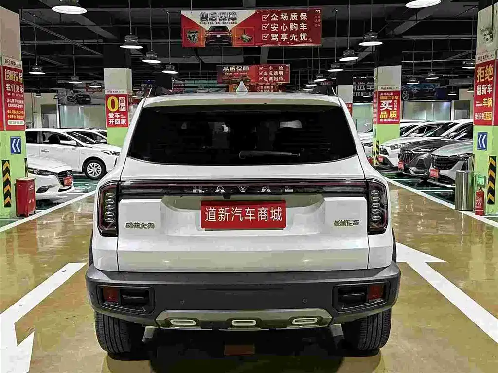 Haval Big Dog — фото 8
