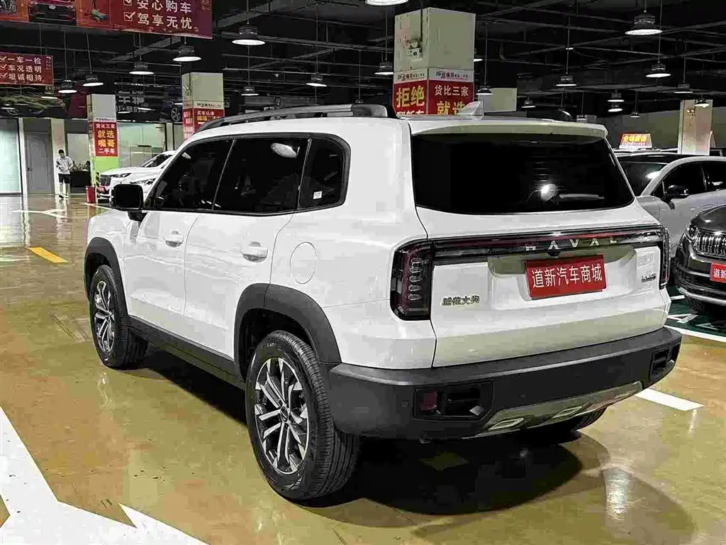 Haval Big Dog — фото 9