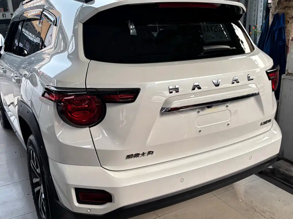 Haval Big Dog PLUS — фото 10