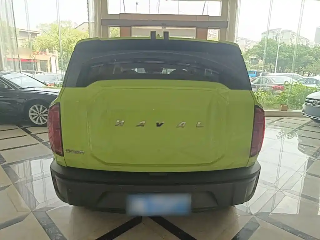 Haval Cool Dog — фото 6