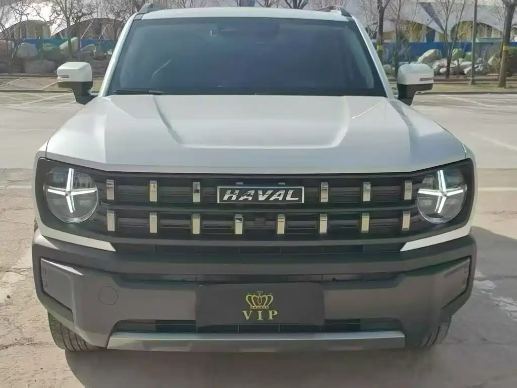 Haval Cool Dog — фото 2
