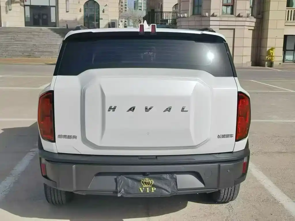 Haval Cool Dog — фото 6