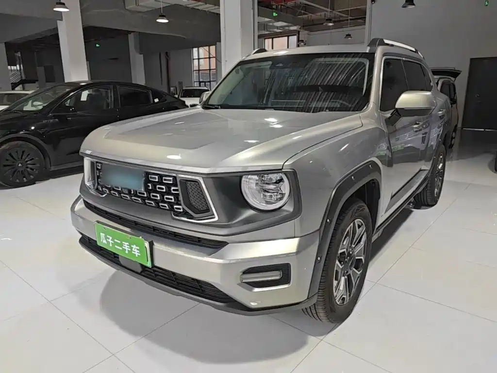 Haval Big Dog PLUS New Energy — фото 2