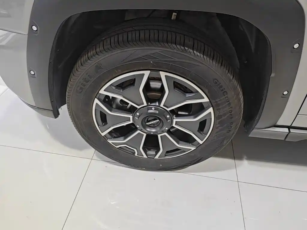 Haval Big Dog PLUS New Energy — фото 23