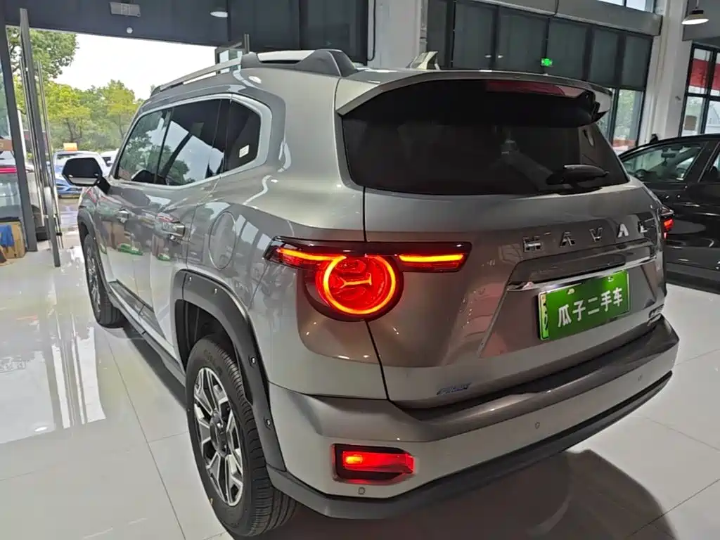 Haval Big Dog PLUS New Energy — фото 5