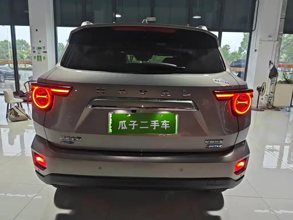 Haval Big Dog PLUS New Energy — фото 6