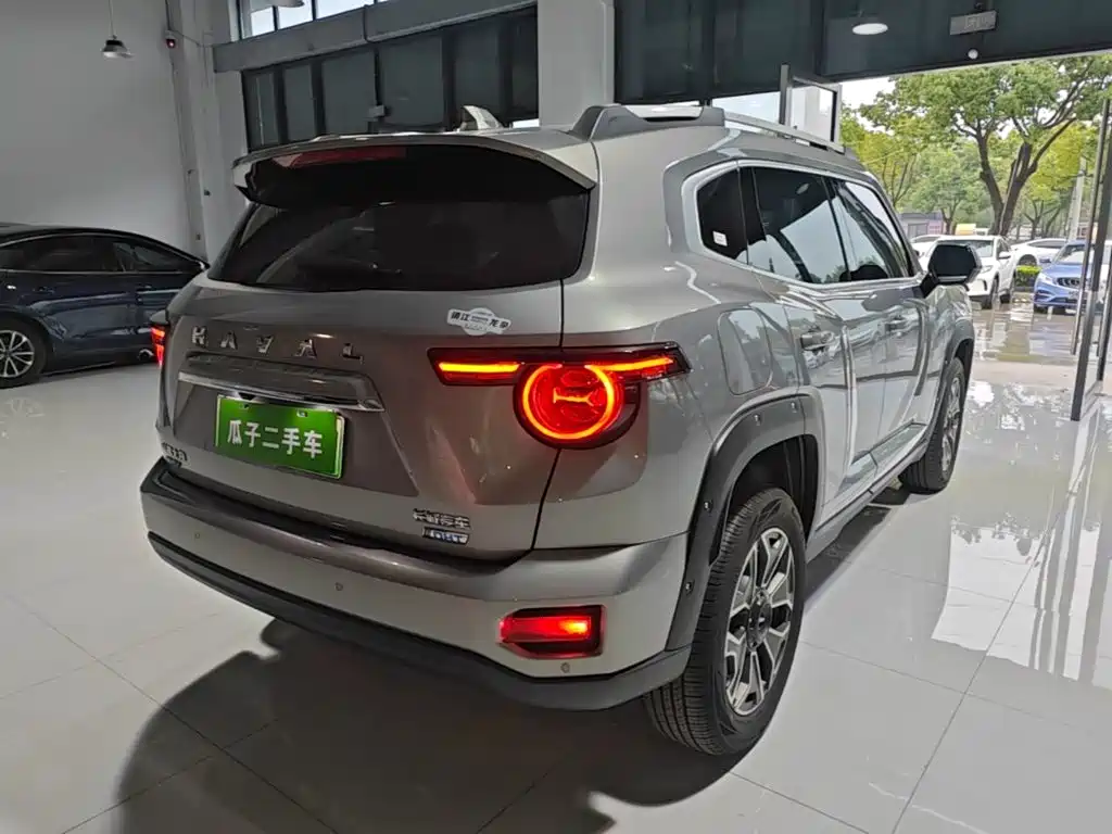 Haval Big Dog PLUS New Energy — фото 7