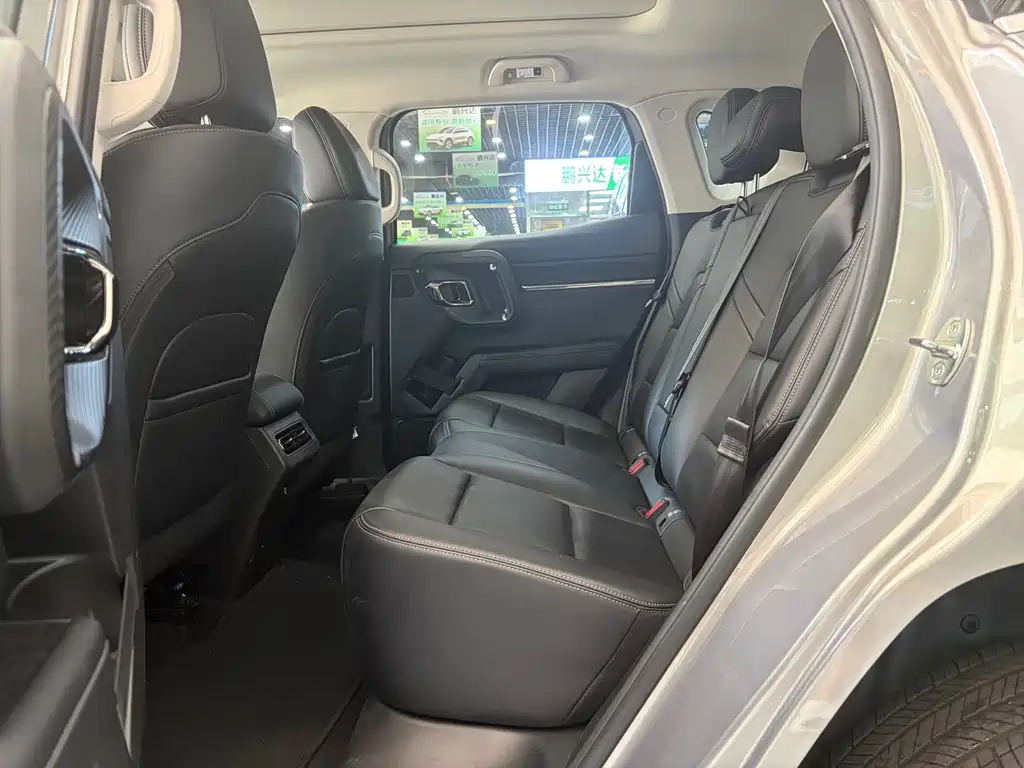 Haval Big Dog PLUS New Energy — фото 7