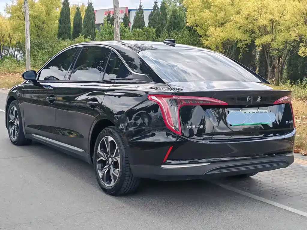 Hongqi Hongqi E-QM5 — фото 6