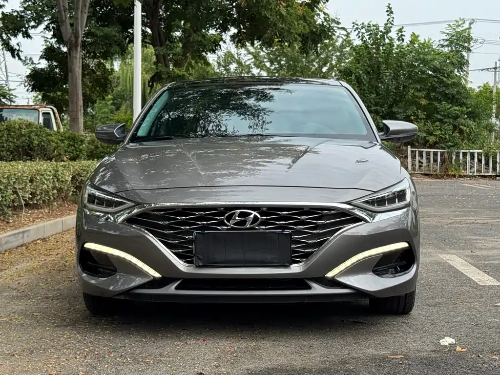 Hyundai Fista — фото 2