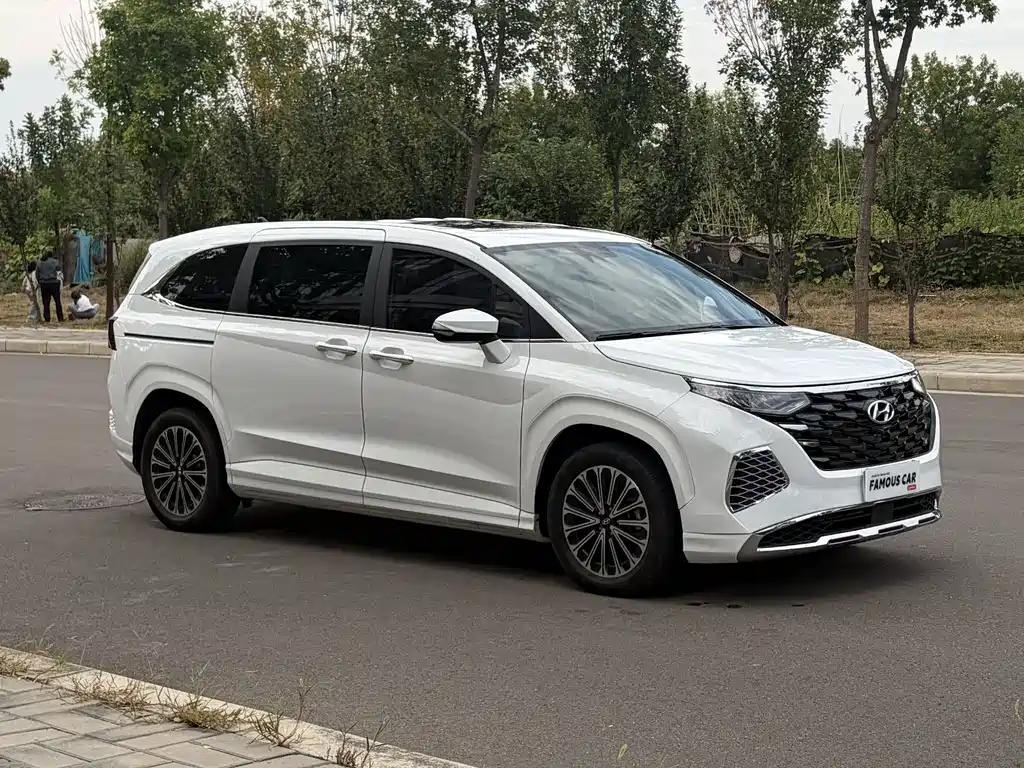 Hyundai Custo — фото 3
