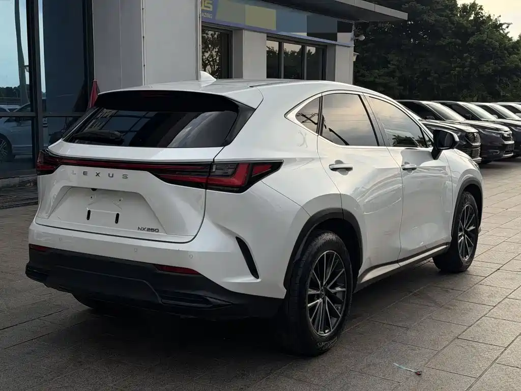 Lexus NX — фото 6