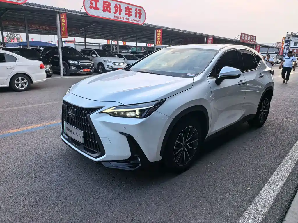 Lexus NX New Energy — фото 2