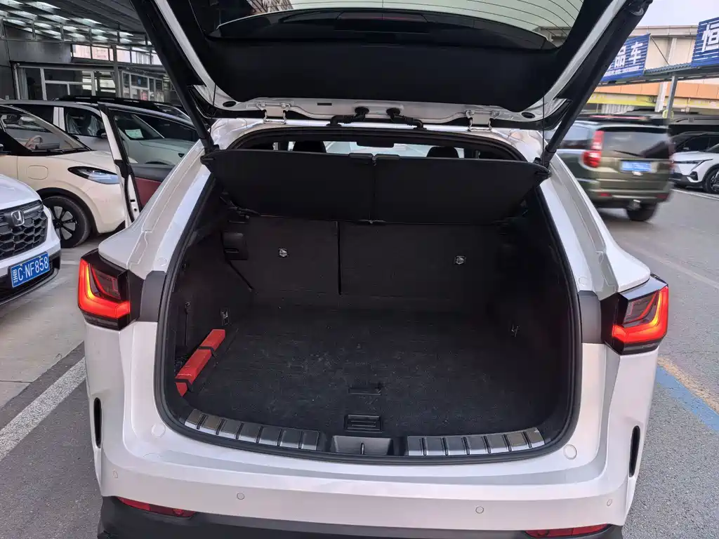 Lexus NX New Energy — фото 14