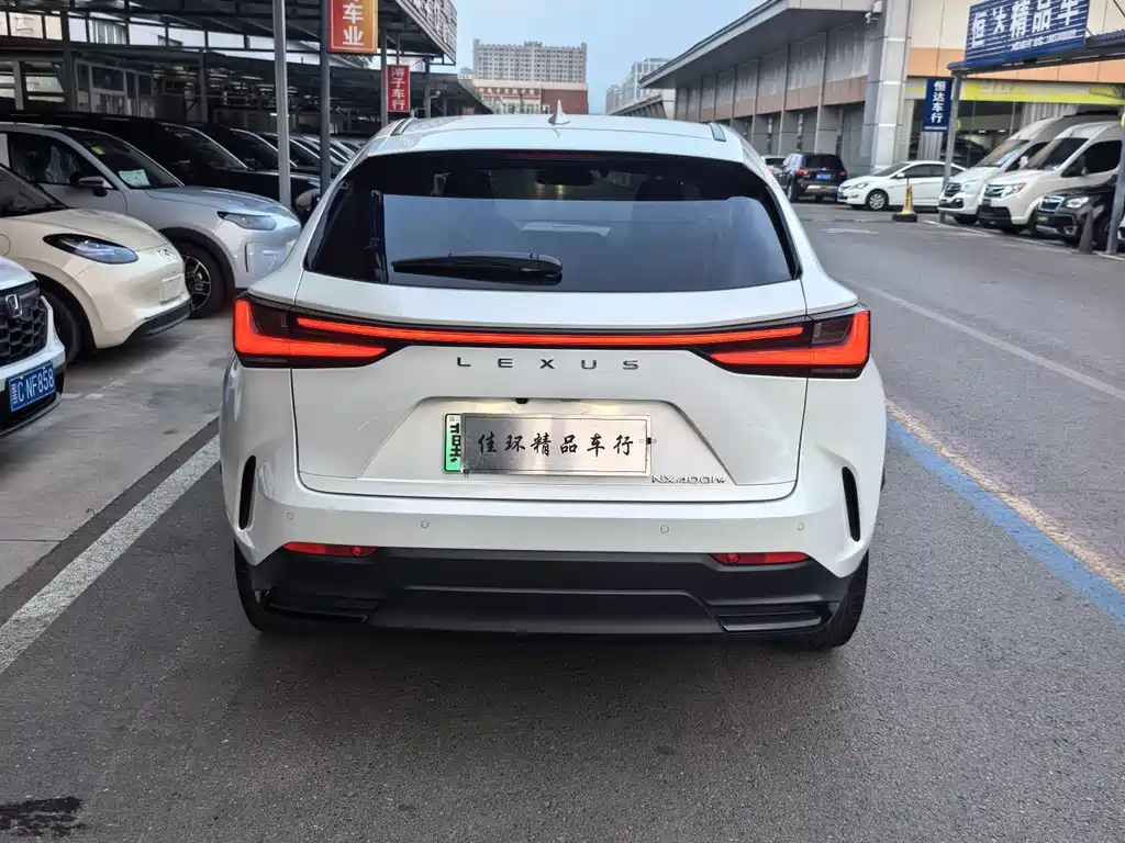 Lexus NX New Energy — фото 15