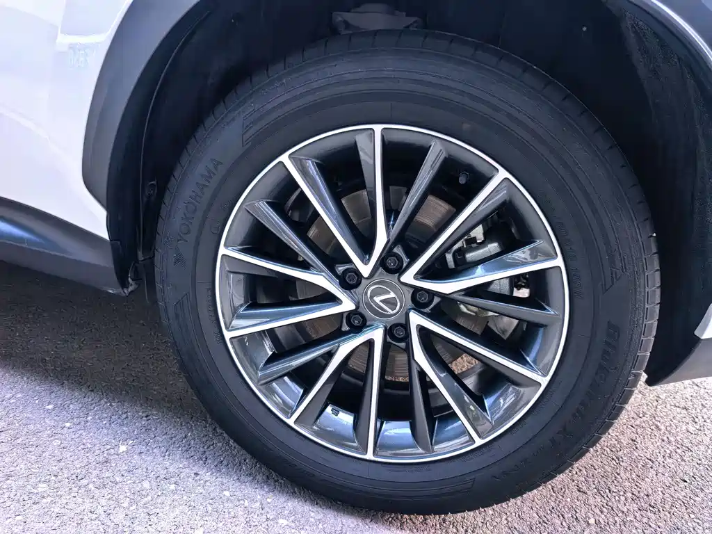 Lexus NX New Energy — фото 19