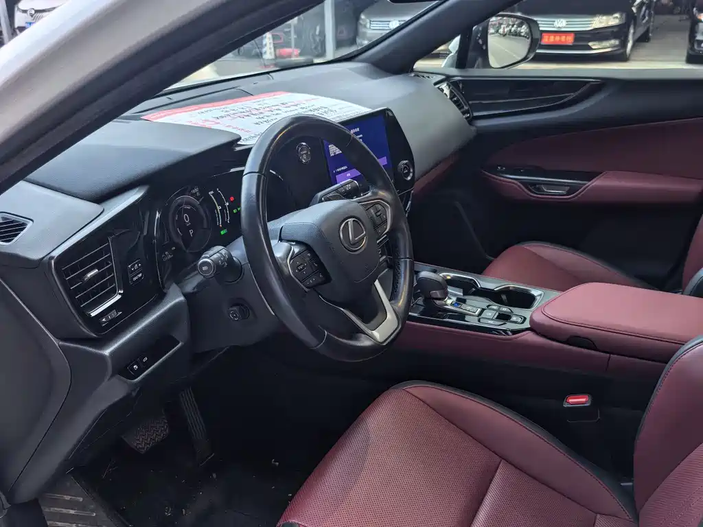 Lexus NX New Energy — фото 4