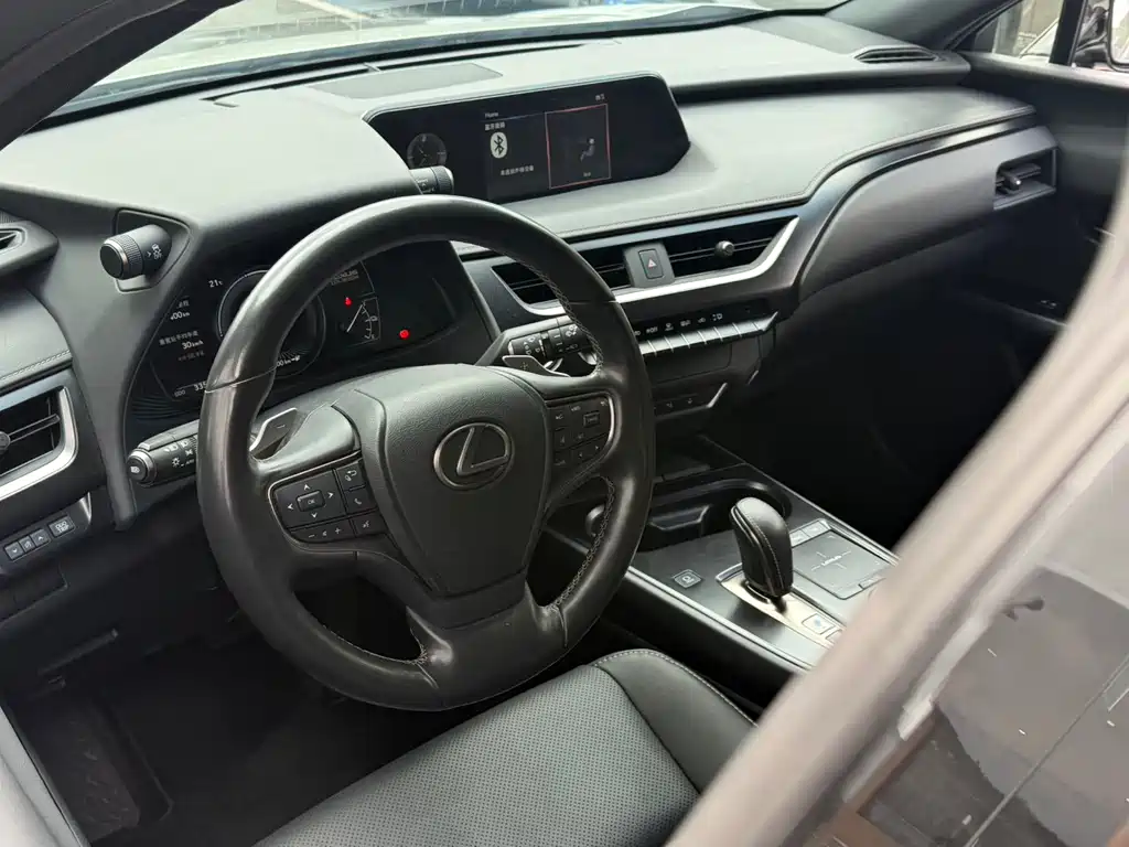 Lexus UX New Energy — фото 5
