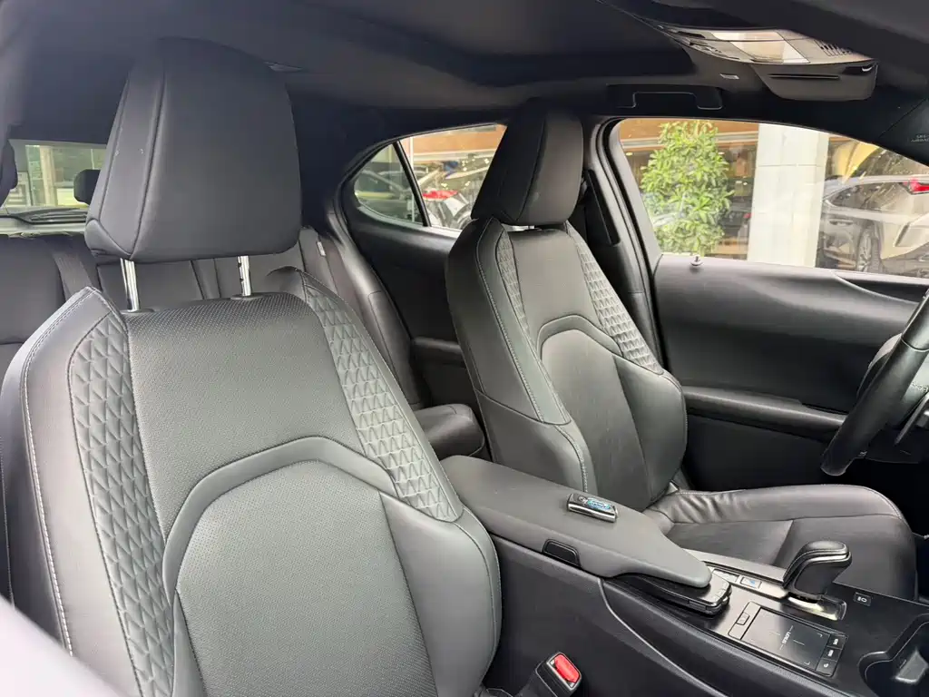 Lexus UX New Energy — фото 9