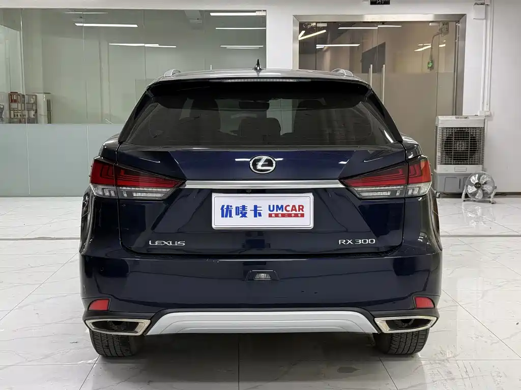 Lexus RX — фото 5