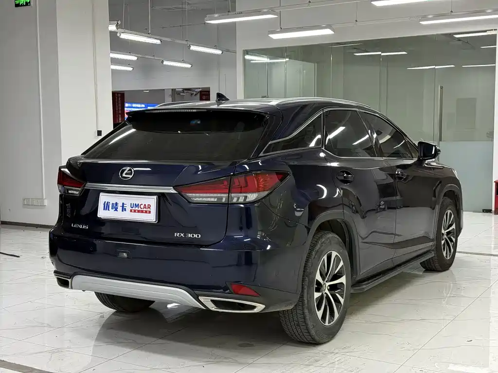 Lexus RX — фото 6