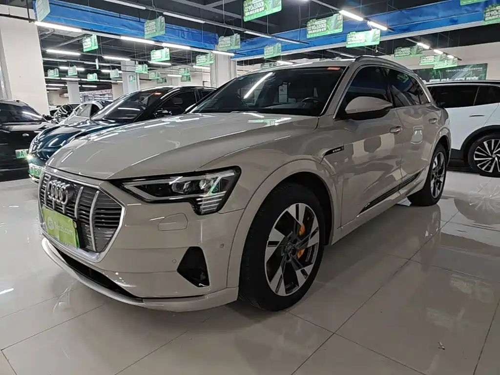 Audi e-tron (Import) — фото 2