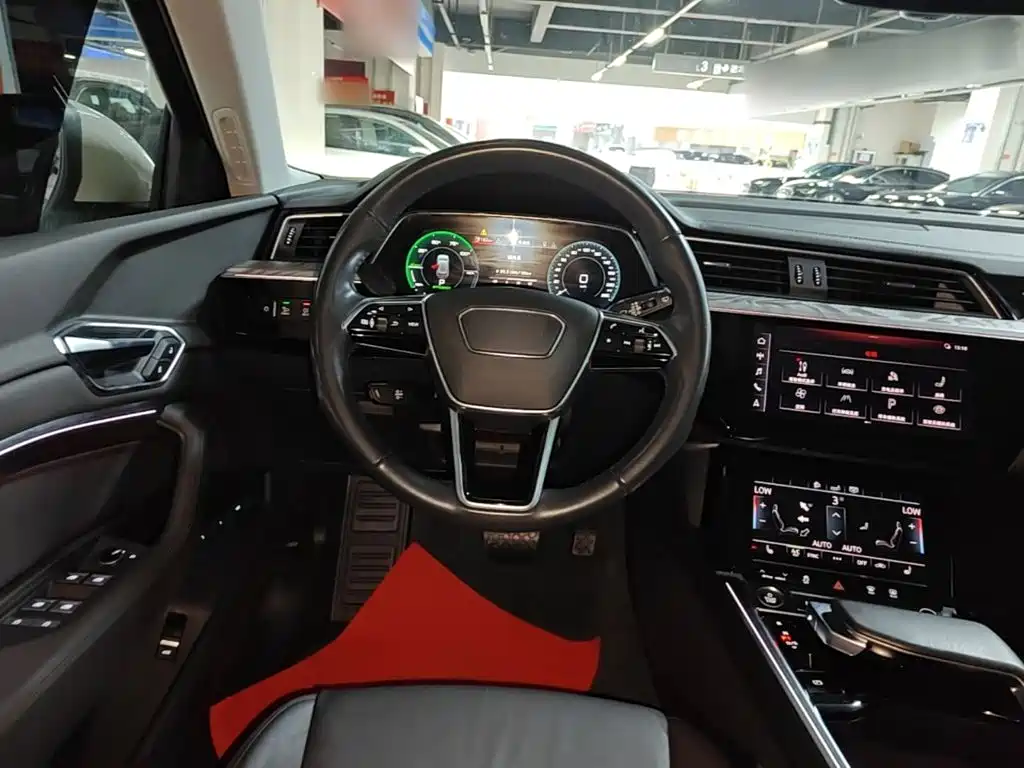 Audi e-tron (Import) — фото 11
