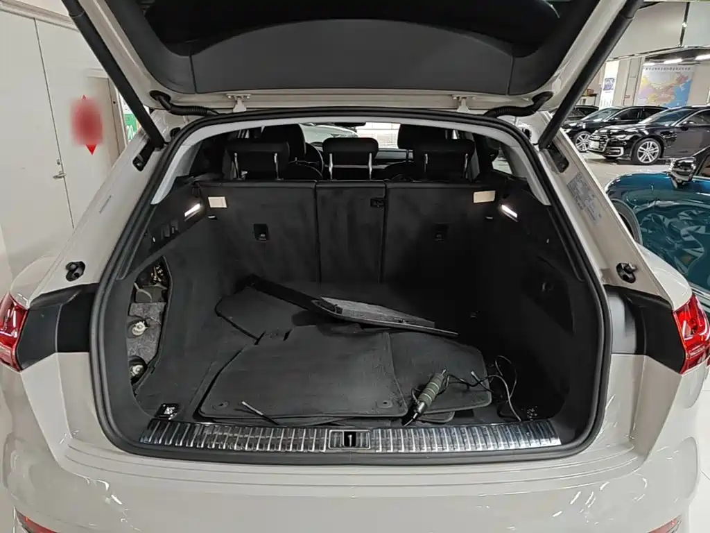 Audi e-tron (Import) — фото 19